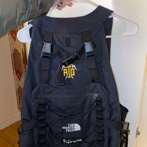 Supreme Northface RTG Collab VEST ONLY